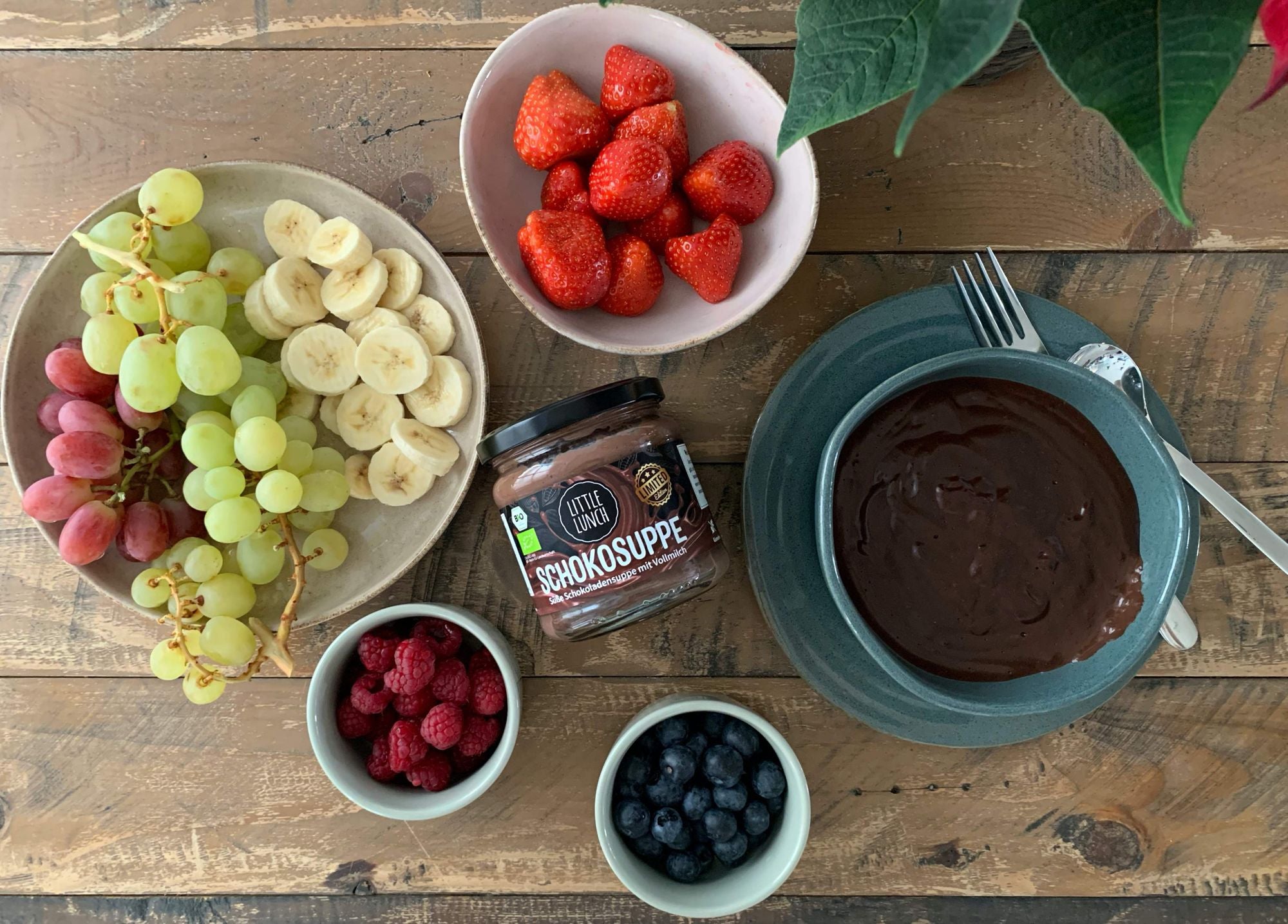 Rezept: Schokofondue mit Obst